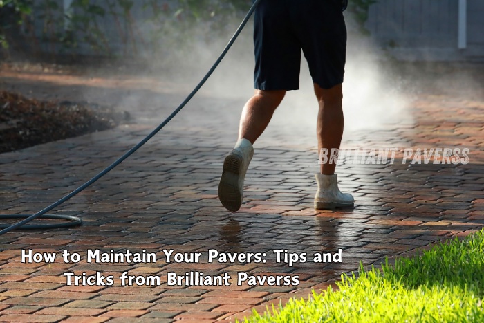 The expert maintenance advice and services provided by Brilliant Paverss in Coimbatore to keep paver installations looking their best.