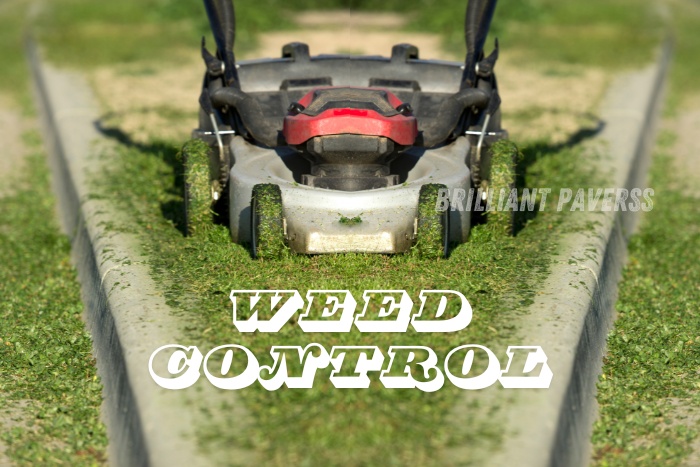 A lawnmower cutting grass along a neatly installed kerb stone, emphasizing the importance of weed control in maintaining a clean and well-defined landscape. The image showcases the high-quality kerb stones provided by Brilliant Paverss in Coimbatore