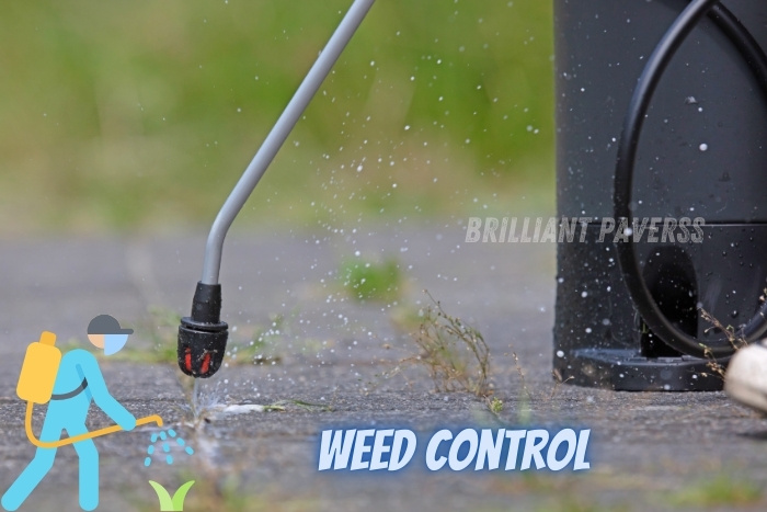 Brilliant Paverss in Coimbatore provides professional weed control services to keep your paver blocks and outdoor spaces clean and well-maintained. Ensure the longevity of your paving installations with effective weed management solutions, available locally in Coimbatore.