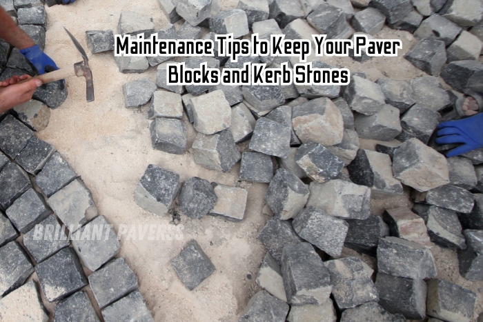 Brilliant Paverss in Coimbatore offers expert advice on maintaining Paver Blocks and Kerb Stones for long-lasting durability. Follow these maintenance tips to keep your paving installations looking fresh and well-kept, available from the trusted paver specialists in Coimbatore