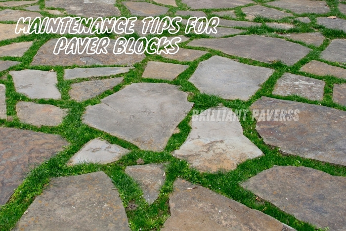 Brilliant Paverss in Coimbatore provides expert maintenance tips for paver blocks to keep your outdoor spaces in top condition. Enhance the lifespan and appearance of your paving with our professional guidance and high-quality paver solutions, available locally in Coimbatore