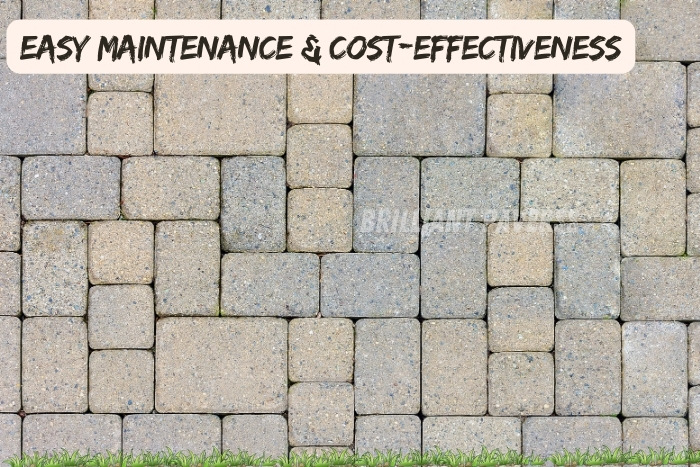 Brilliant Paverss in Coimbatore provides Paver Laying Services and cost-effective paver blocks for durable outdoor solutions