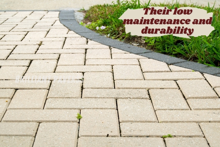 Enhance your outdoor spaces with high-quality paving solutions designed for Paver Blocks by Brilliant Paverss in Coimbatore